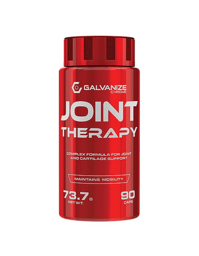 Galvanize Nutrition Joint Therapy 90 kaps. (Päiväys 12/21)